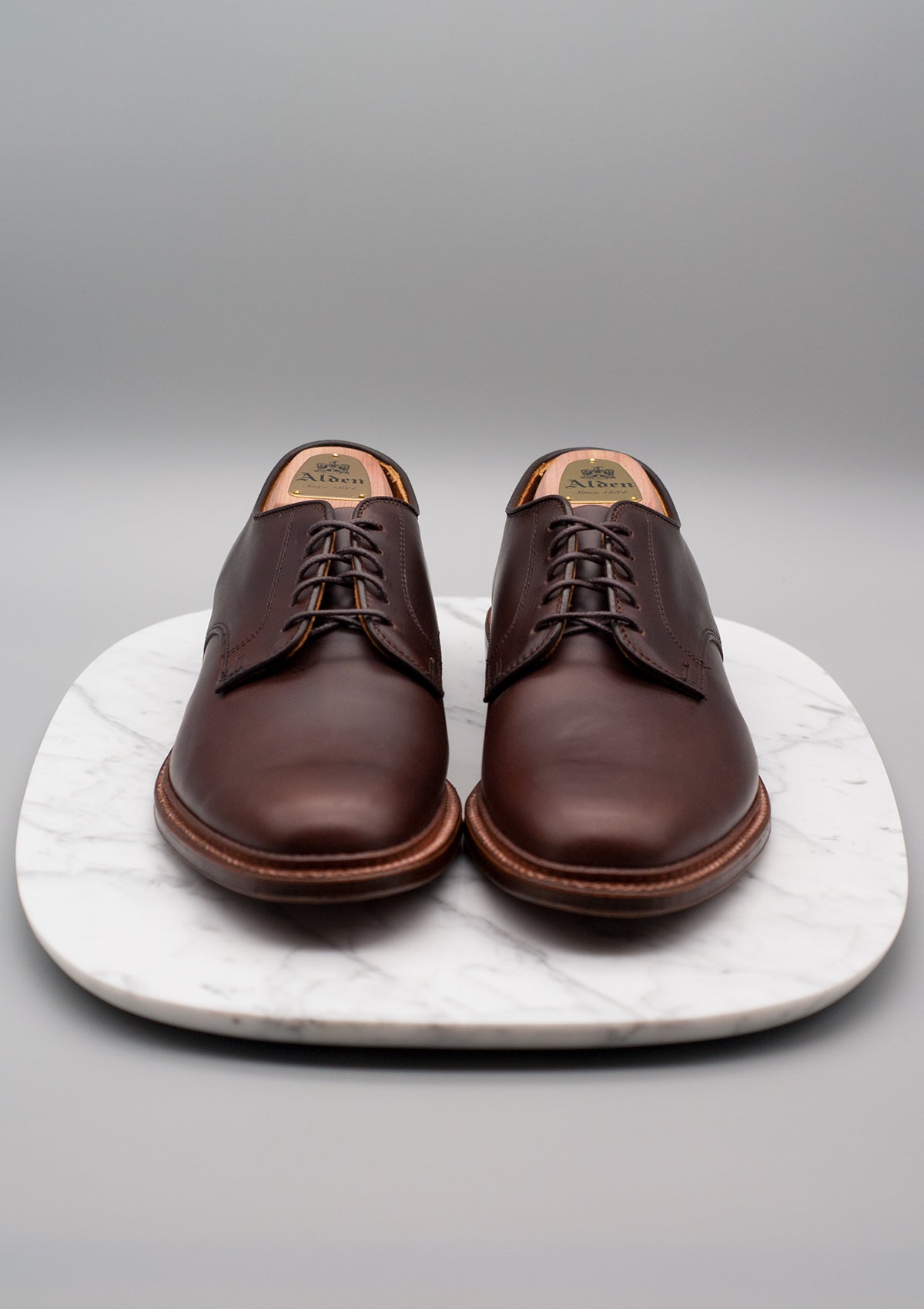 Alden 29364F Unlined Plain Toe Blucher – Dashing Chicago